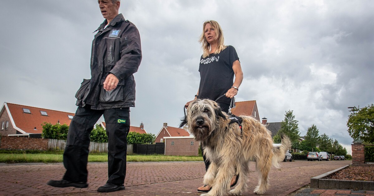 Hondenfluisteraar Marien helpt Molly af van pubergedrag