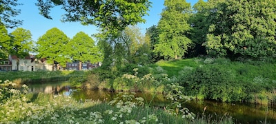 Grootschalige boomvernieuwing in Middelburg: 800 bomen maken plaats voor 2700 nieuwe