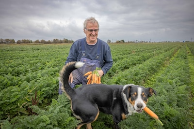 Bioboer Alex van Hootegem kijkt terug op 25 jaar pionieren: ‘Ik gun iedereen gifvrij eten’