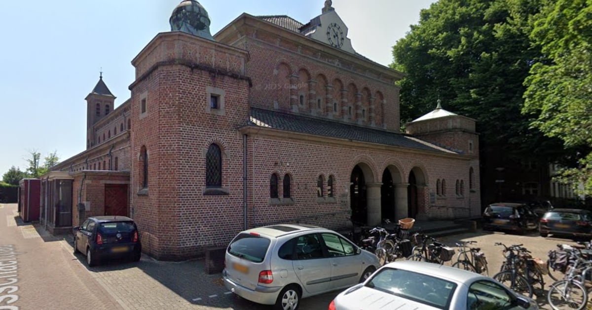 Nazomerfestival brengt bewoners samen in Borgvliet