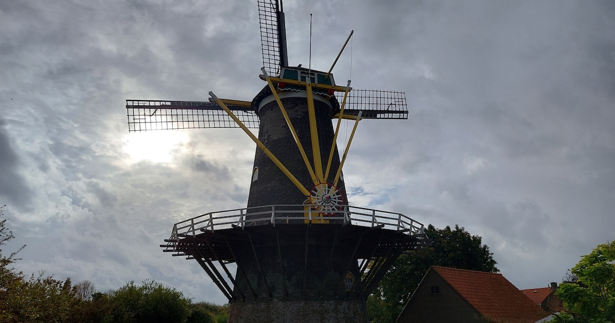 Molen De Koning in Middelburg krijgt nieuwe roeden