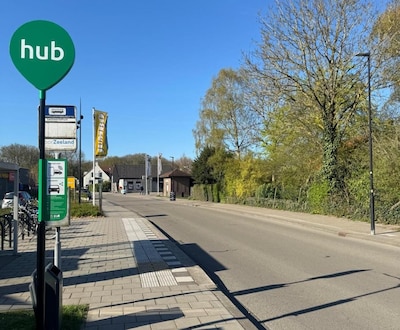 Tholen krijgt flexibele taxi als aanvulling op openbaar vervoer