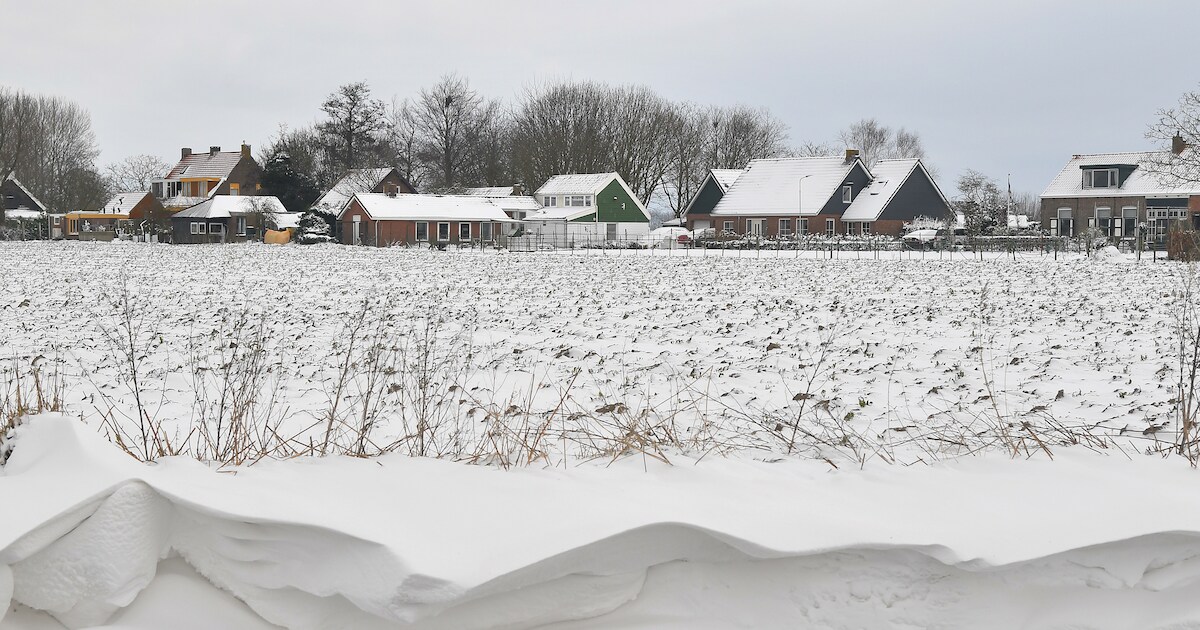 Graszode: een oase in de Oude Kraaijertpolder