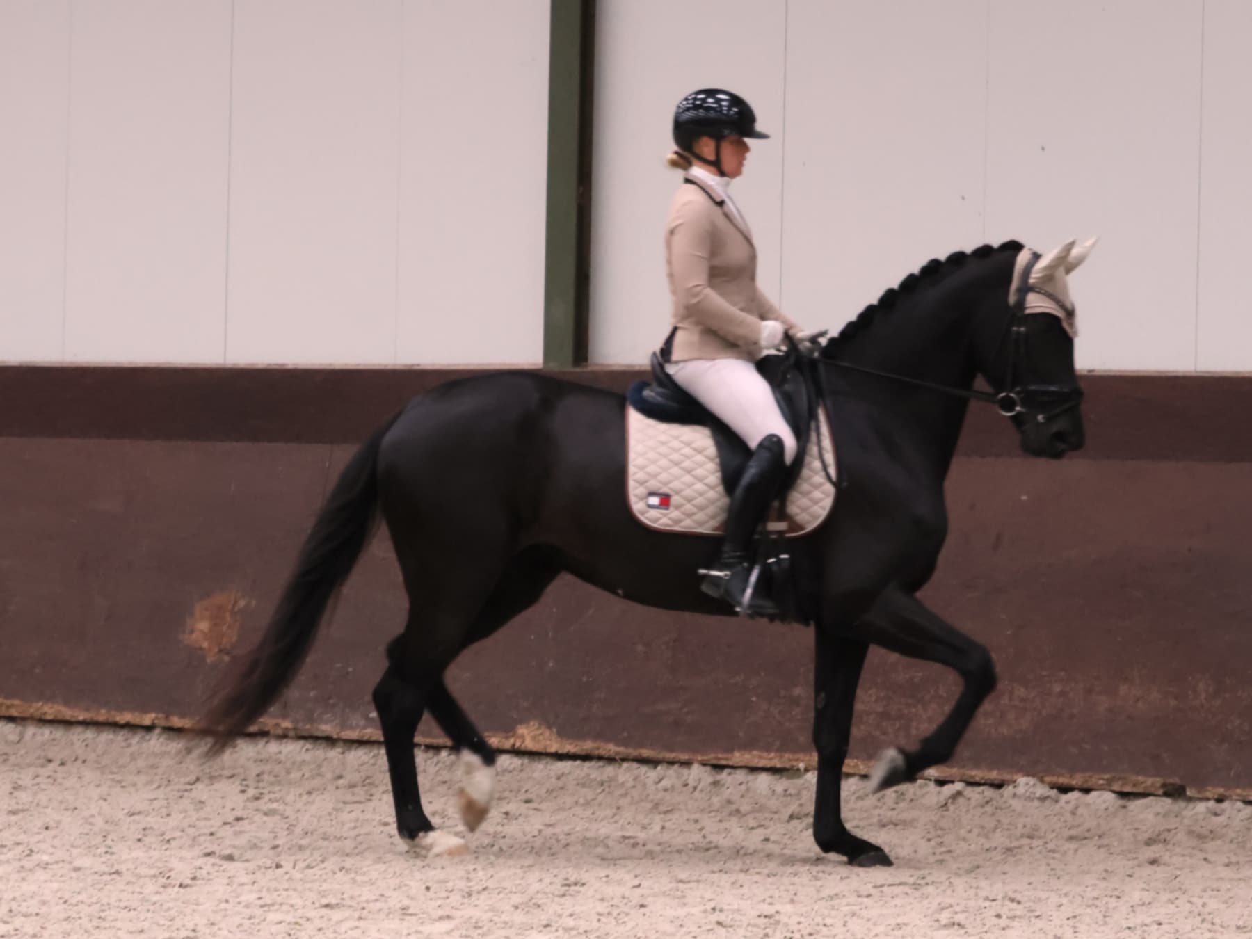 Marieke Kleinjan en Pina Colatina schitteren met dubbele winst op dressuurwedstrijd in Axel  