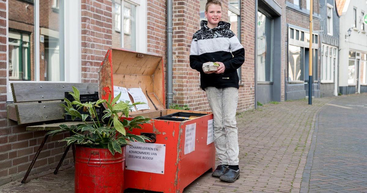 Levi (12) uit Bruinisse is een eindbaas en runt z'n eigen eierimperium: ‘Hoeveel ik verdien? Zeg ik 