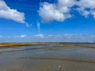 Het ontpolderingsspook blijft boven de Westerschelde hangen