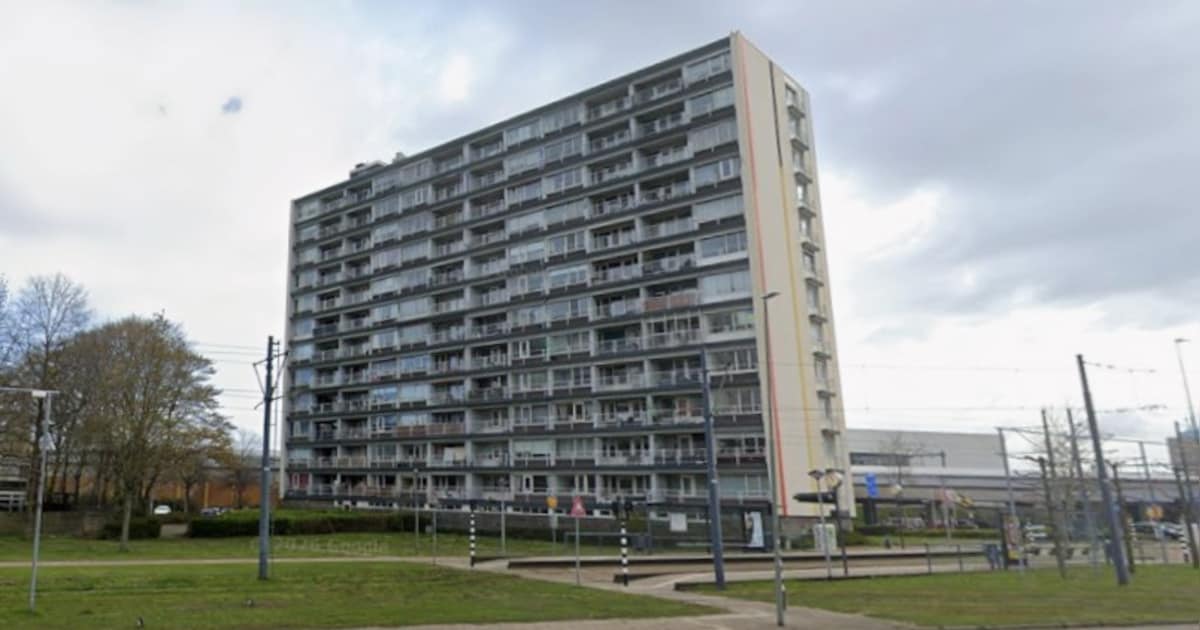 Fundaparel: voor wie altijd al droomde van een appartement met kattenpretpark