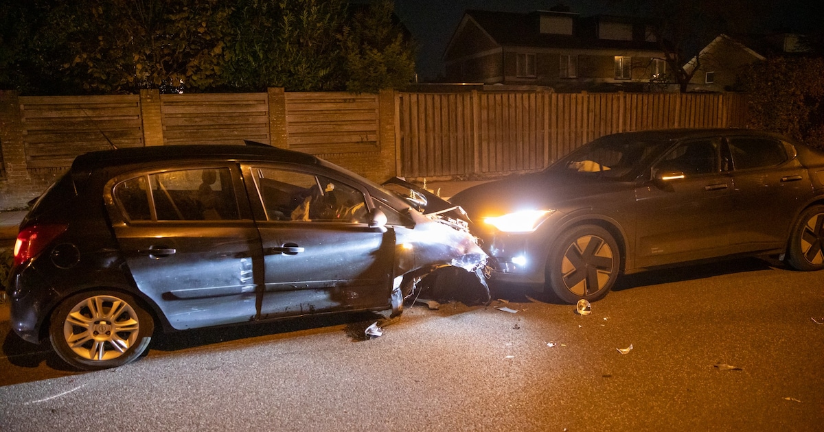 Automobilist onder invloed veroorzaakt ravage in Wouw