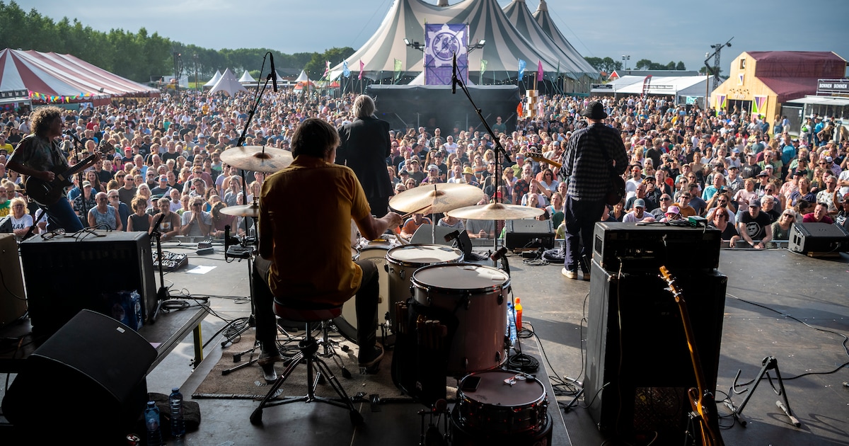 Eerste namen voor Weitjerock: van K’s Choice tot exclusieve act Dressed Like Boys