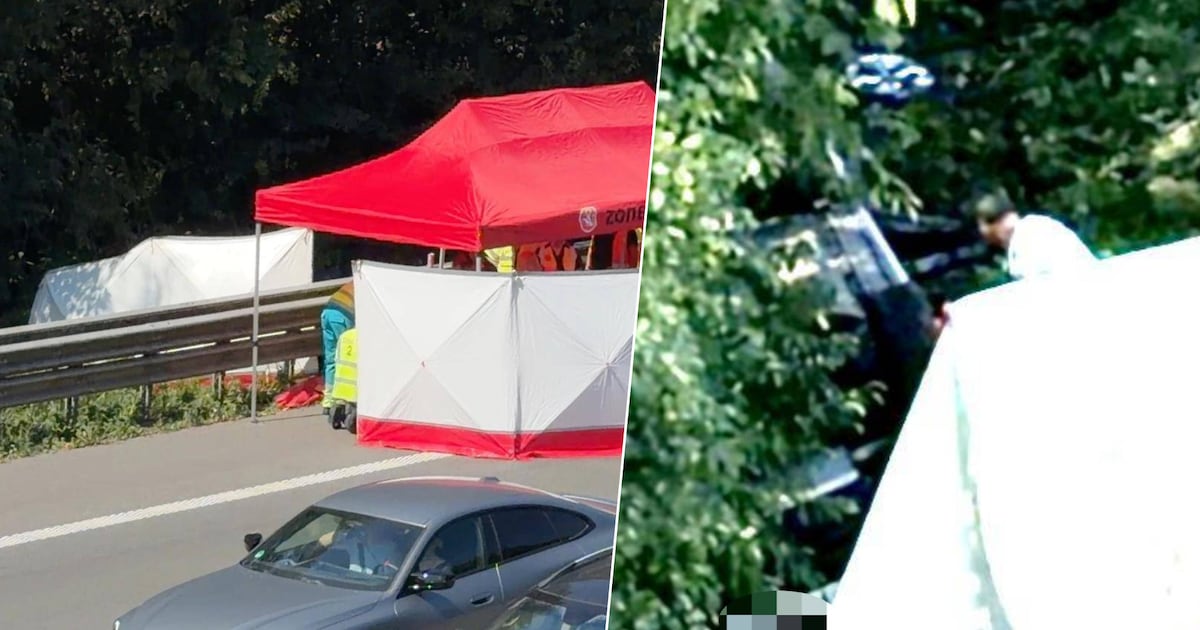Wagen gaat overkop en belandt in diepe gracht naast E40 in Beernem: vrouw (82) overleden, haar broer