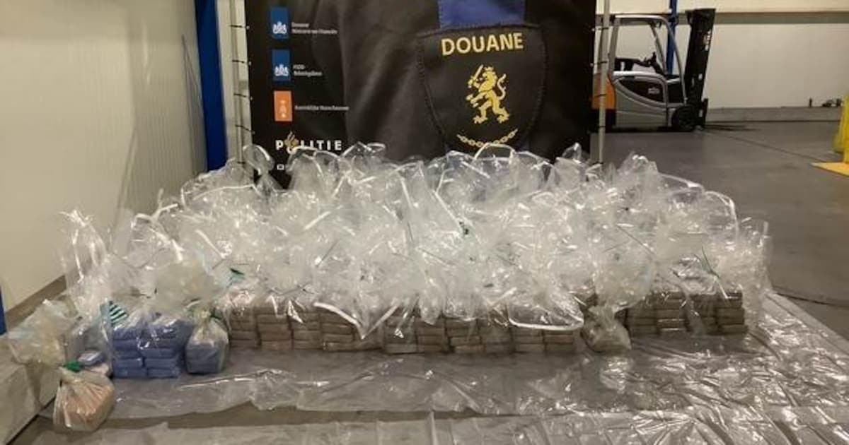 Douane onderschept 889 kilo cocaïne in haven Vlissingen