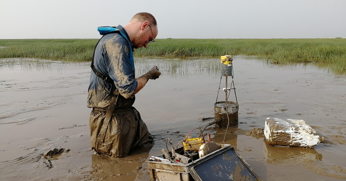 ‘Denk na over afbreken van de Oosterscheldekering’ | Regio | PZC.nl