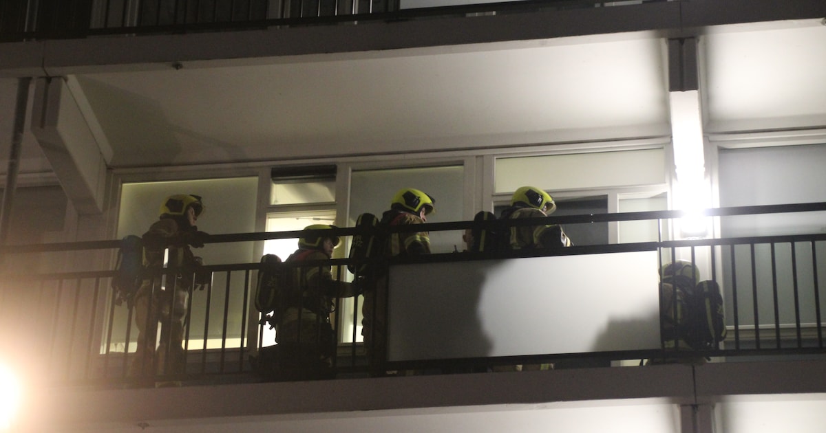Appartement in Sliedrechtse flat vol rook door oven