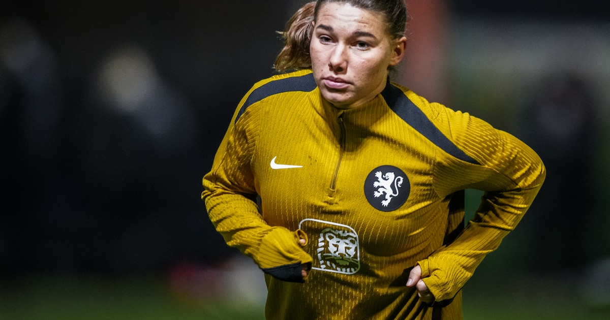 Belletje van een onbekend nummer is het begin van een meisjesboek voor Lynn Groenenwegen