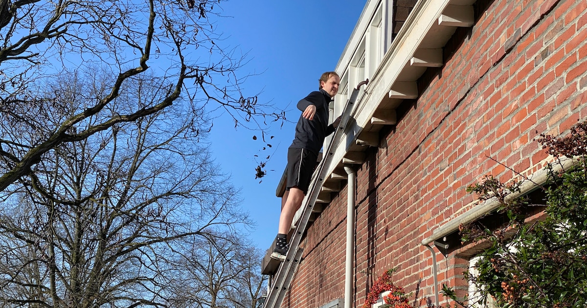 WOZ-waarde in Bergen op Zoom stijgt al twee jaar harder dan de huizenprijzen