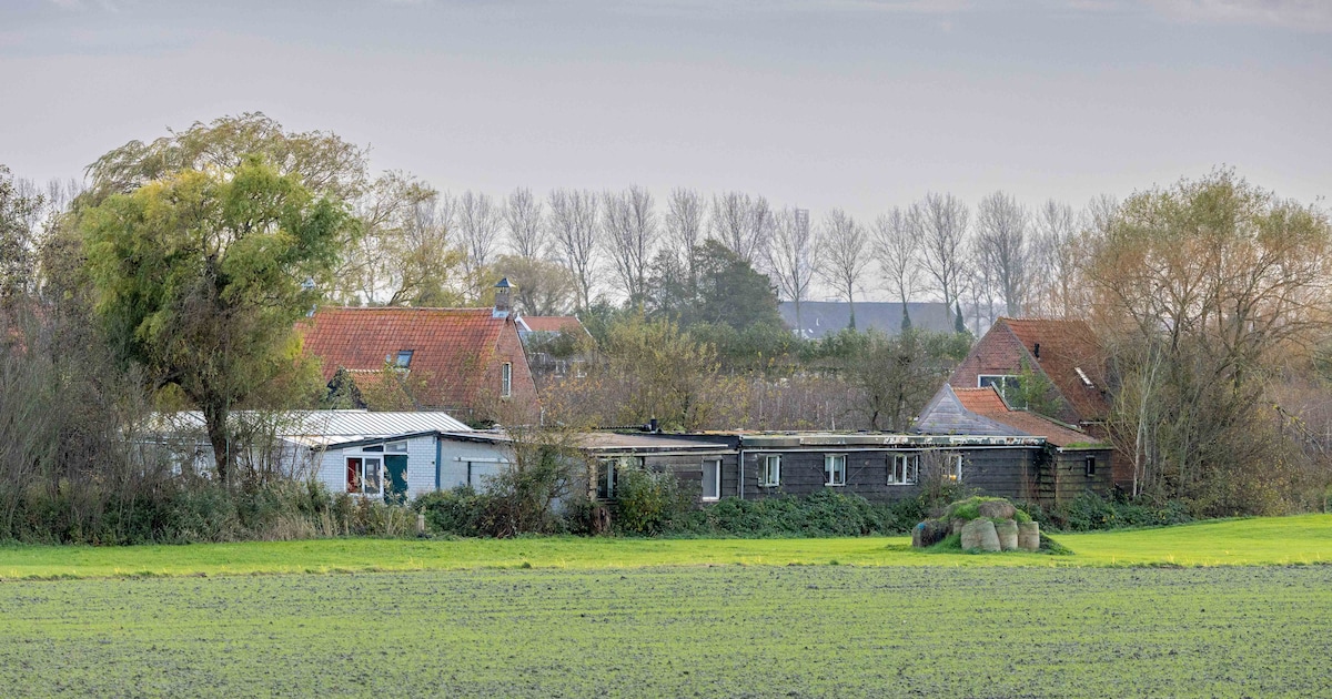Buurvrouw kan weer bij haar dieren komen na uitspraak van de rechter