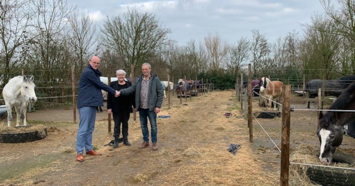 Nieuw akkoord: Braamhof verhuist, maar paarden mogen niet mee