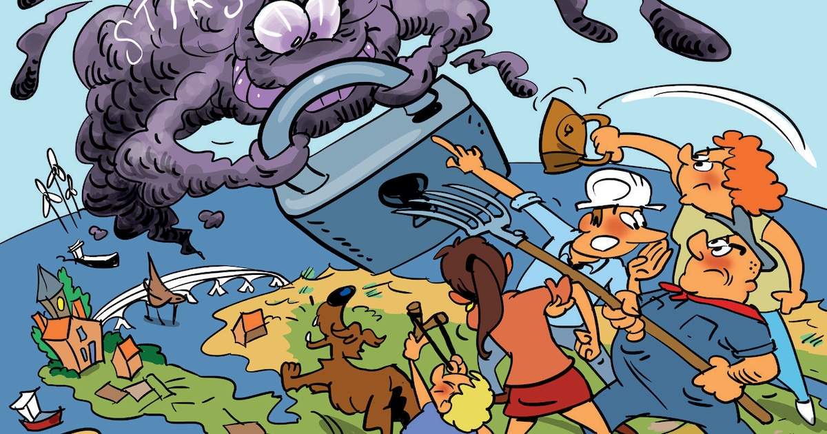 Zeeland gaat het ‘stikstofmonster’ te lijf, mestuitstoot moet flink omlaag