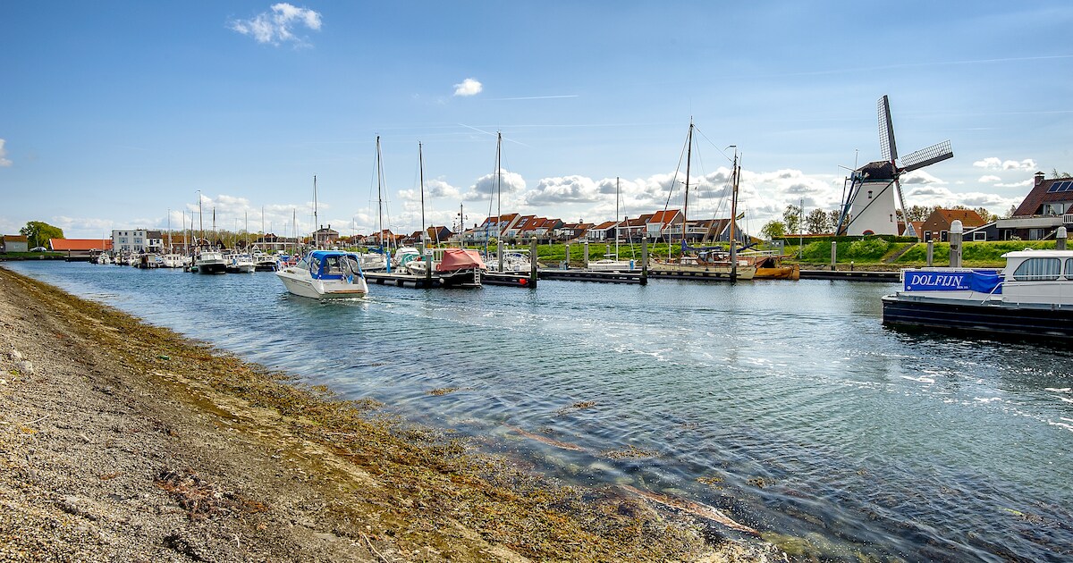Meer bootjes in haven Tholen door lage prijzen