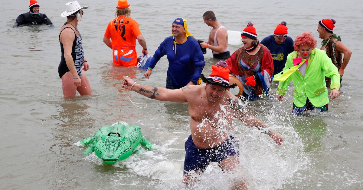 Nieuwjaarsduik in Walsoorden: Krokodil Hans uitlaten