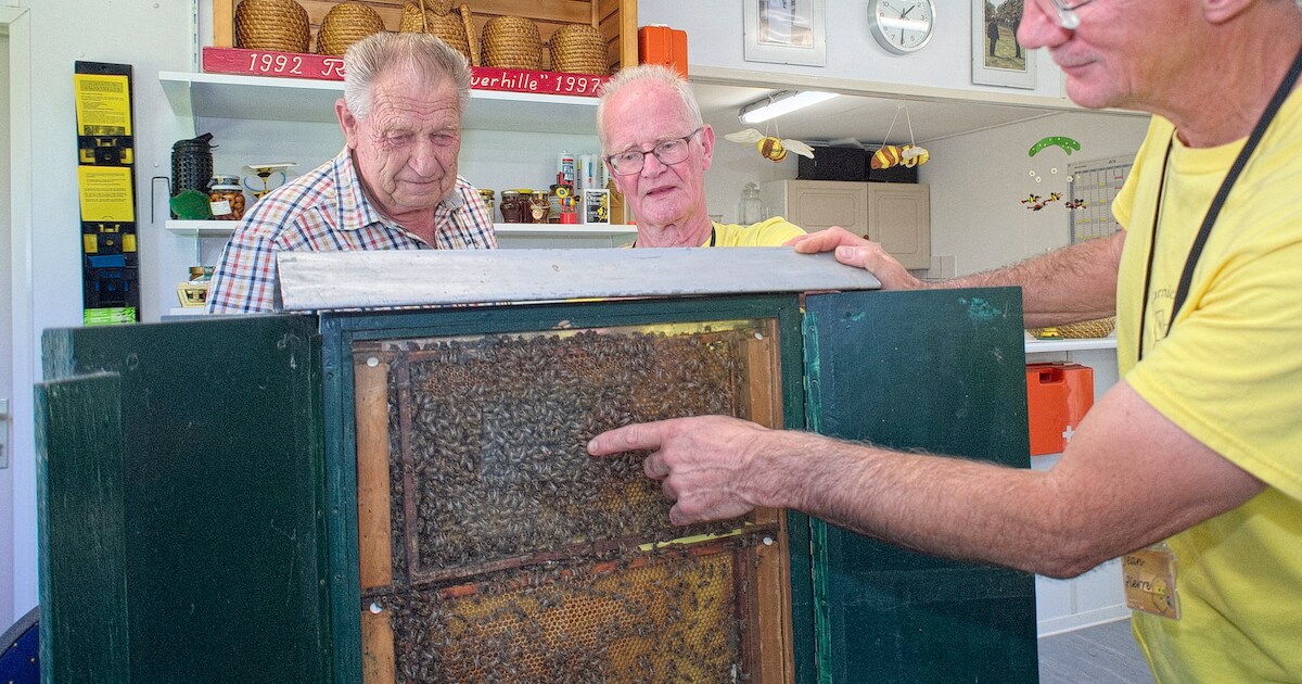 Imkers Ossenisse zetten deuren open