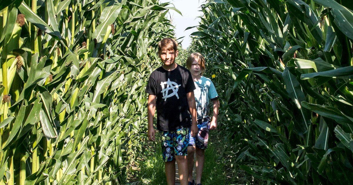 Wat is er te doen in Zeeland? Tien tips voor woensdag 7 augustus