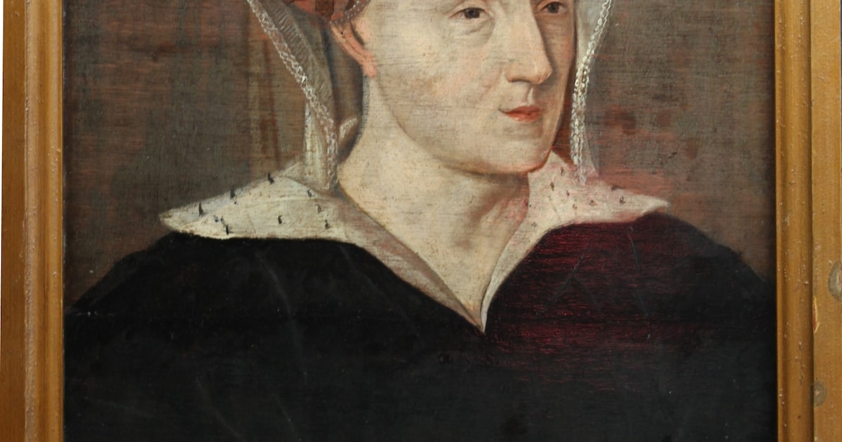 Geschiedenis Sint-Maartensdijk belicht in bibliotheek