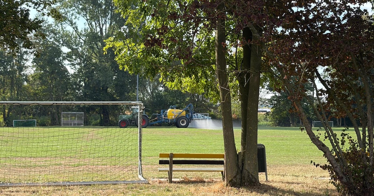 Bespoten grasveld in Kruiningen dezelfde dag nog gebruikt voor voetbaltraining: ‘Kan niet waar zijn’