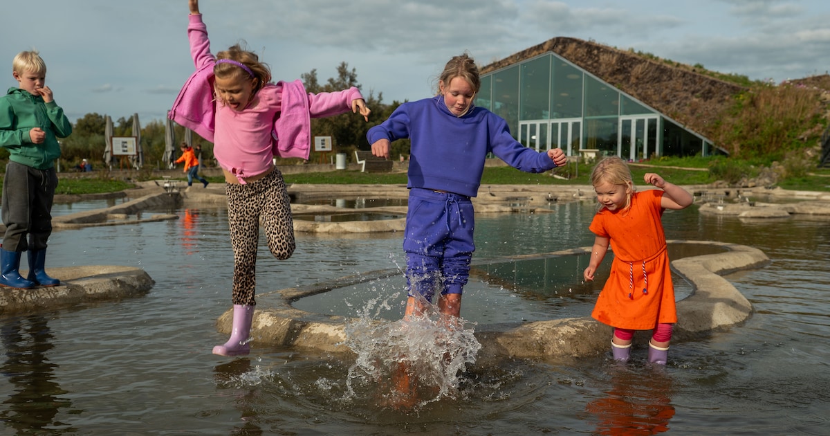 Laarzenpad-excursie voert door Biesbosch bij Werkendam