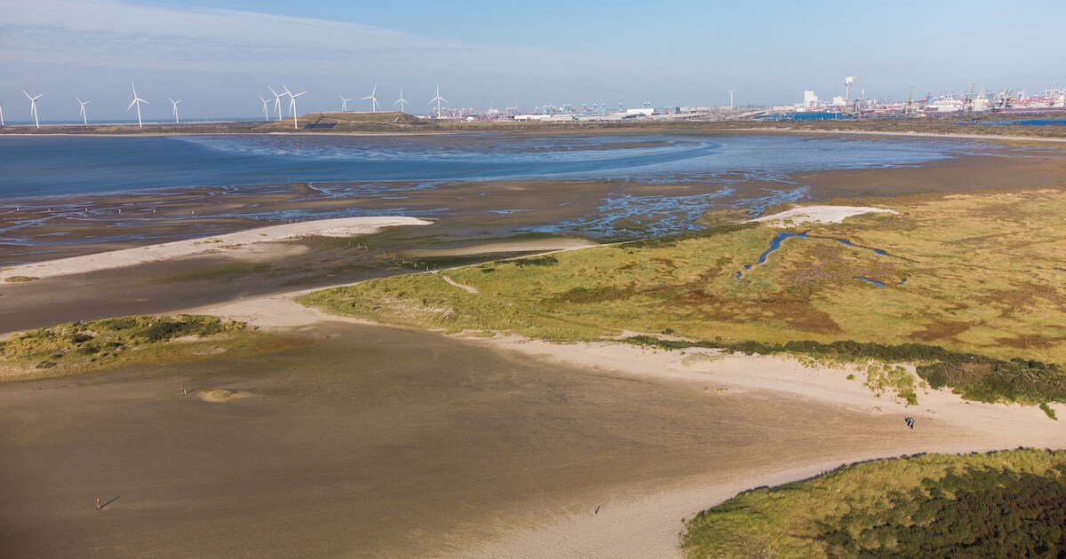 Ontdek Oostvoorne wandelend en lunchend tijdens Walking Christmas Lunch