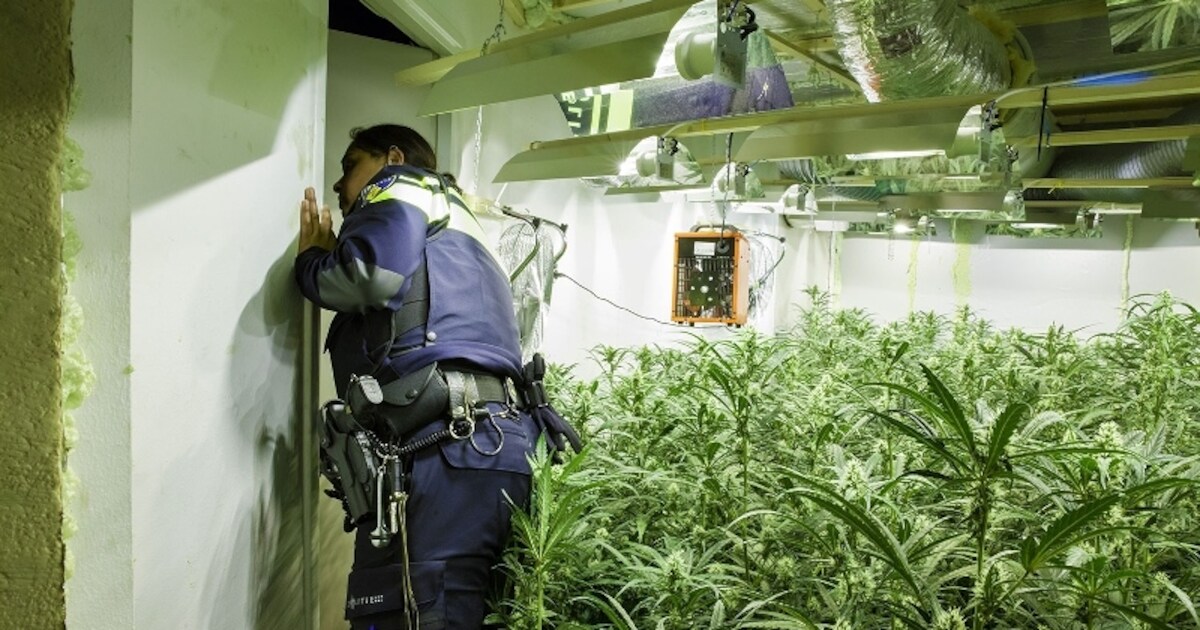 Wietkwekerijen in Noordwelle en Serooskerke (S) ontmanteld