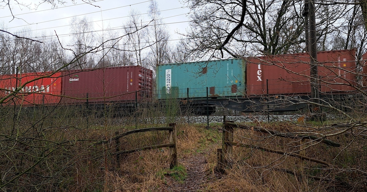 Nederland en België trekken 240 miljoen uit voor beter goederenspoor tussen Gent en Terneuzen