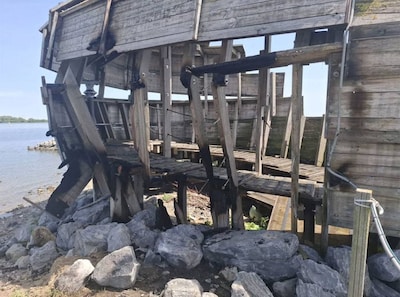 Brand verstoort zeldzaam broedgebied op vogeleiland Bliek: politie vermoedt brandstichting