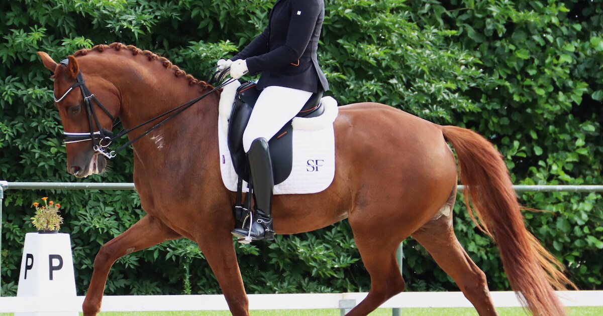 Beter kan het niet voor veelvraat uit Noordgouwe