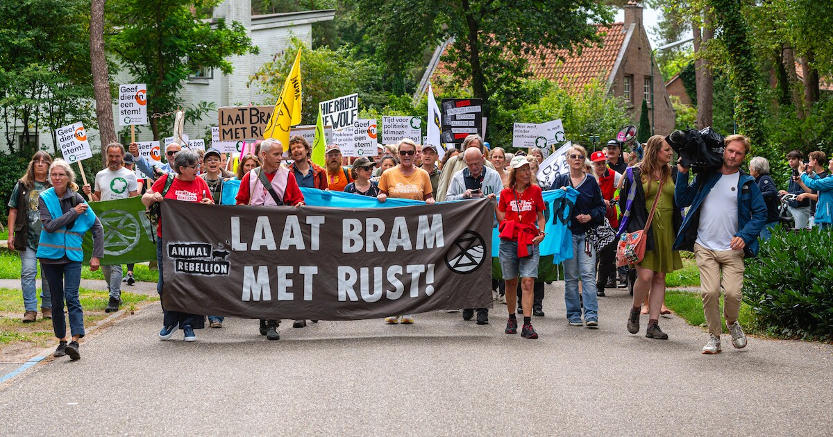 Rauwe eieren en een hoop gescheld: mars voor wolf Bram valt niet bij iedereen in goede aarde