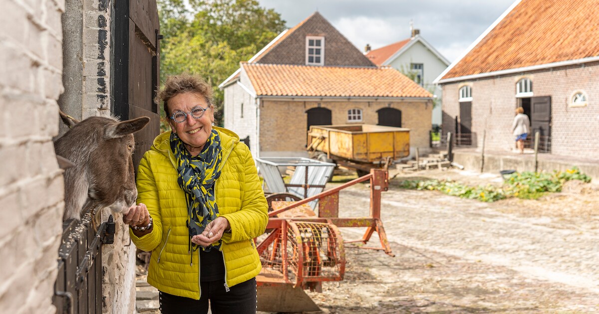 Wie droomt er nou niet van die buitenplaats in Schuddebeurs?