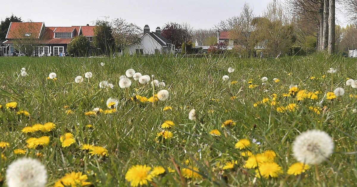 De Zak in de Zak: je woont er zonder dat je er erg in hebt