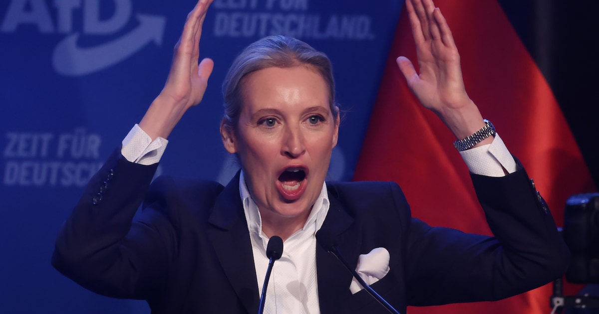 afd-leider-weidel-zelf-gepromoveerd-econoom-pleit-voor-vertrek-van