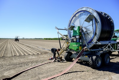 Hoe boeren omgaan met waterschaarste: ‘Oostenwind maakt het land erg schraal’