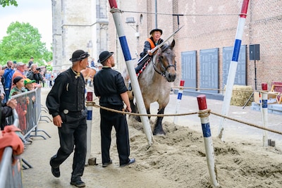 Paardenmarkt in Zierikzee als herboren: ‘Een traditie om door te geven’