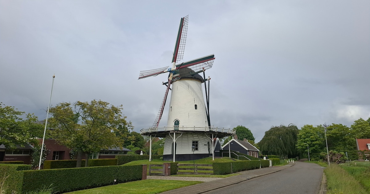 Kloetingse Oostmolen heeft dure ingreep nodig: bestuur zoekt ‘molenvrienden’ om stilstand te voorkom