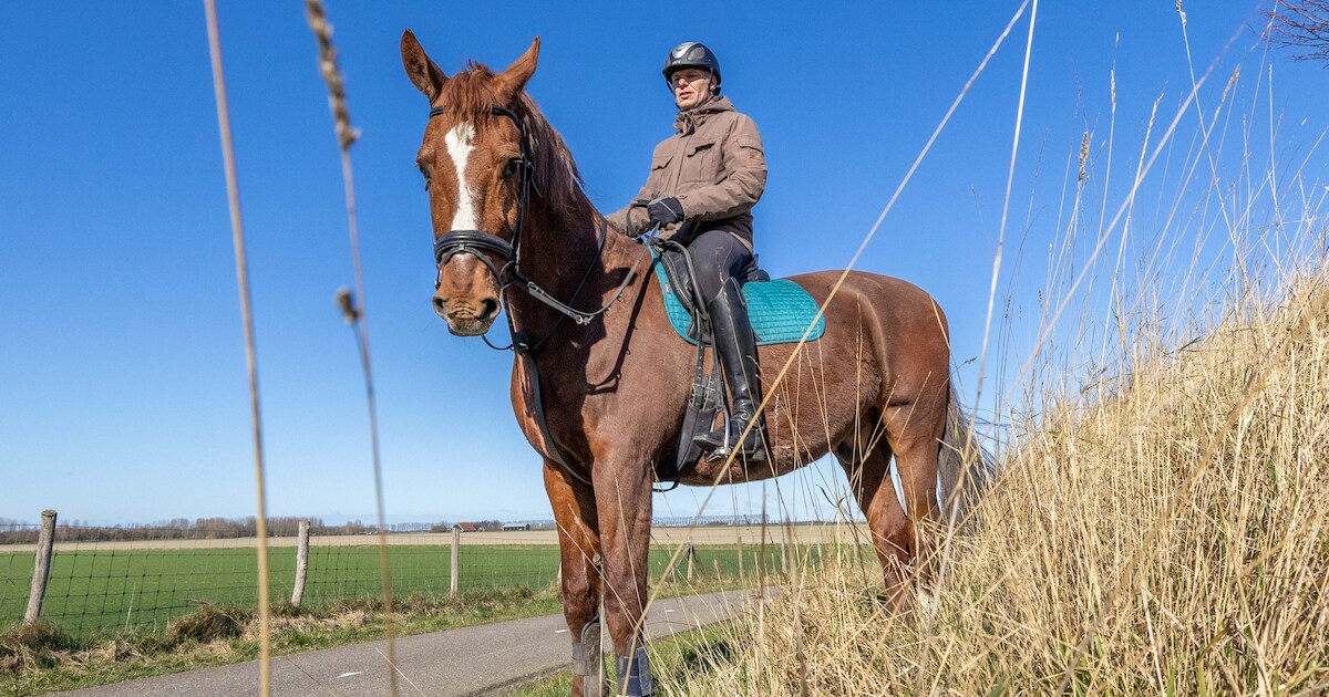 Regelmatig samen bij De Kuip gestaan