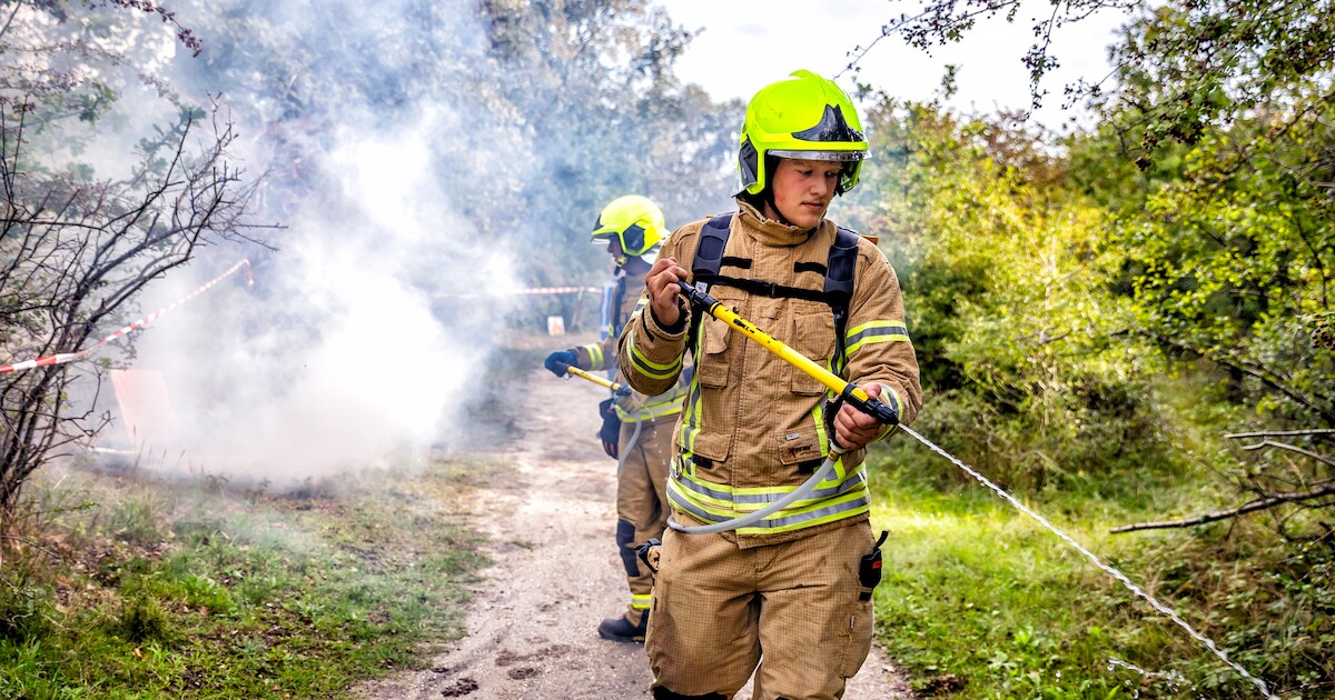 Brandweer oefent voor duinbrand in Oostvoorne: ‘Toenemend risico’