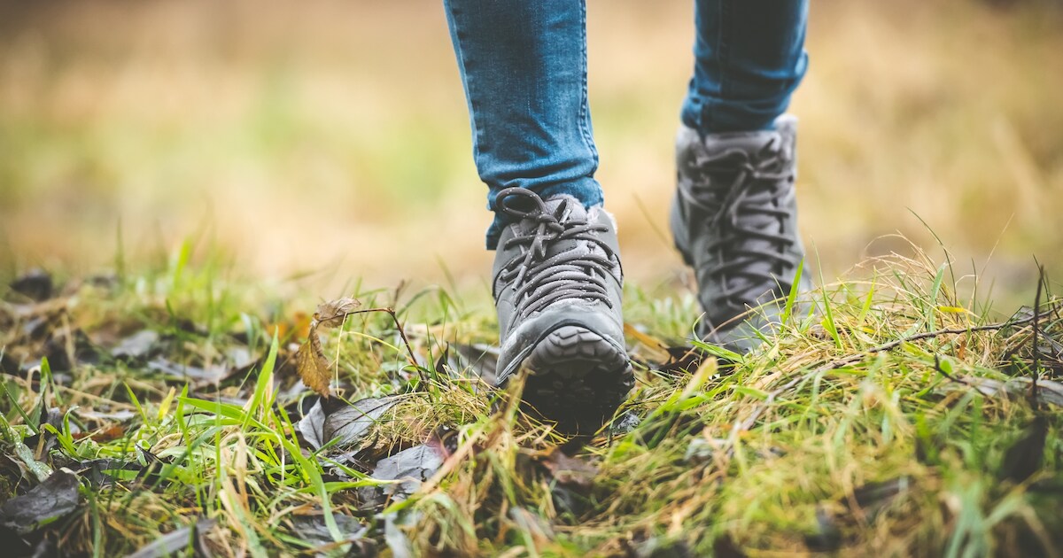 13 september: Culinaire wandeling door het Zwin vanaf Retranchement