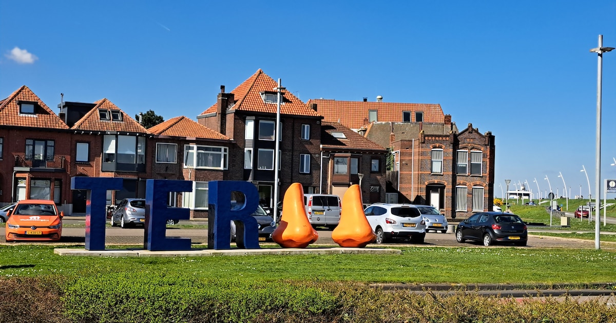 PH PandaHall 64 stuks 5 stijlen veiligheidsneuzen voor gehaakte dieren