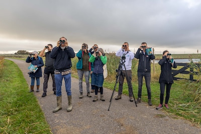 Op safari, dat kan nu ook gewoon in Yerseke: ‘Ik heb nog nooit meegemaakt dat-ie zo dichtbij kwam’
