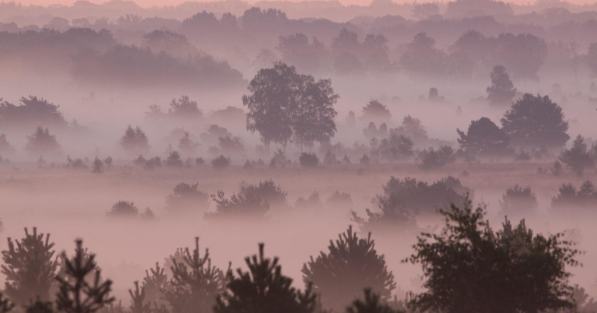 Opklaringen en lokaal nevel of mist op Noord-Beveland in de nacht