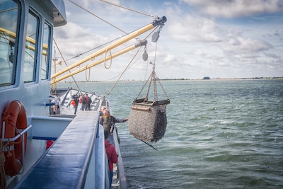 Mosselvissers moeten ondanks dramatische seizoenen huur betalen, ministerie geeft wel extra subsidie