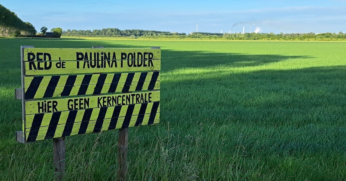 Hoe de Paulinapolder plotseling dé plek werd om kerncentrales te bouwen