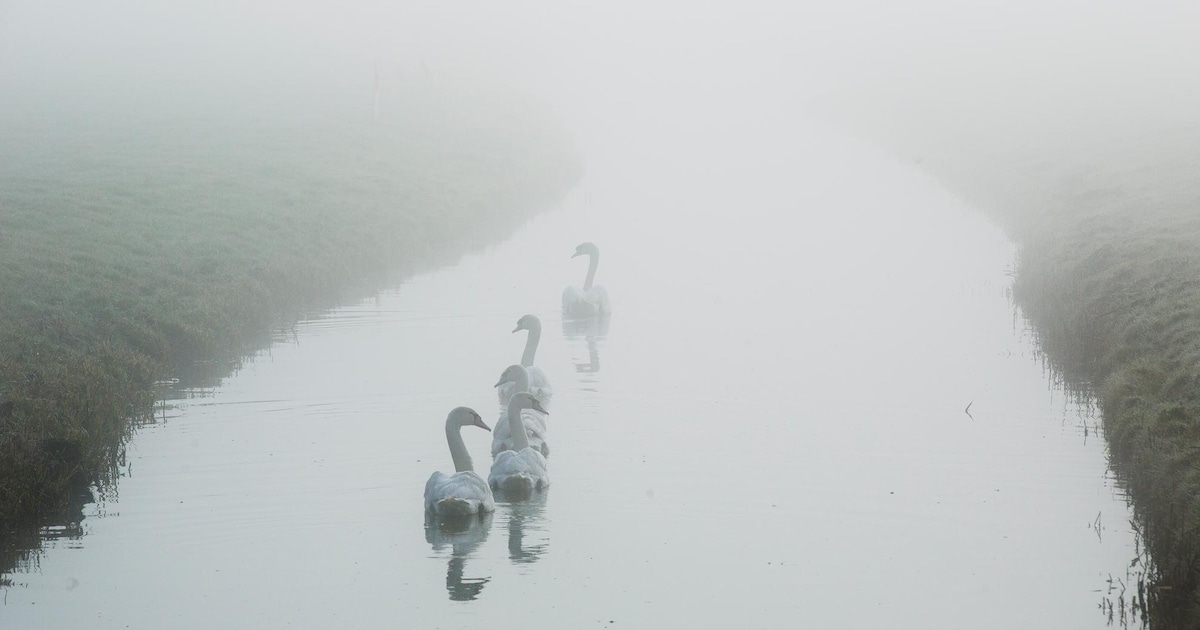 Opklaringen en lokaal nevel of mist in Terneuzen in de nacht